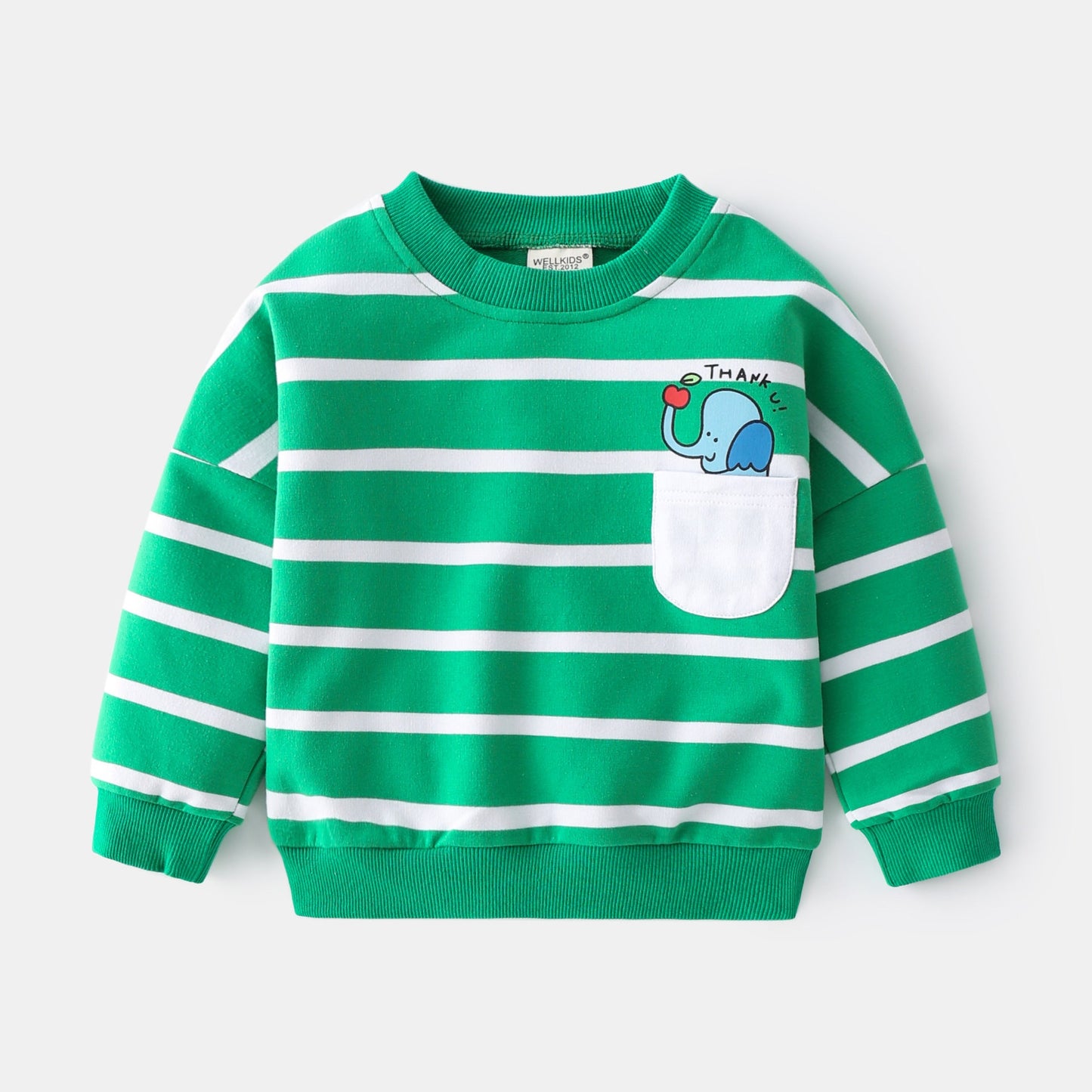 Boys green and white striped pullover sweater with pocket and round neck.